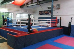 halle-3