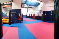 halle-5