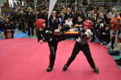 431505711_6971418736314271_1992484915592575729_n